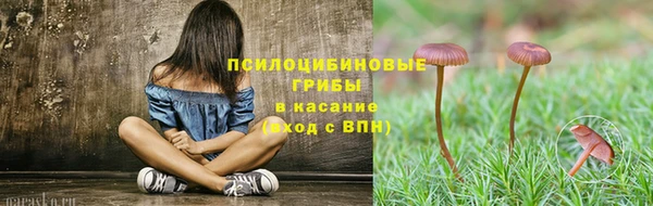 шишки Верхнеуральск