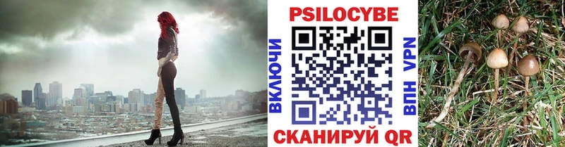 Псилоцибиновые грибы мицелий  Рыльск 